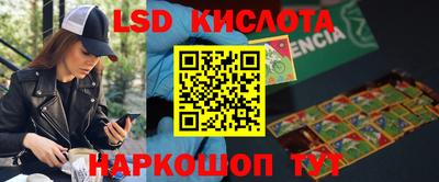 кокс Кингисепп
