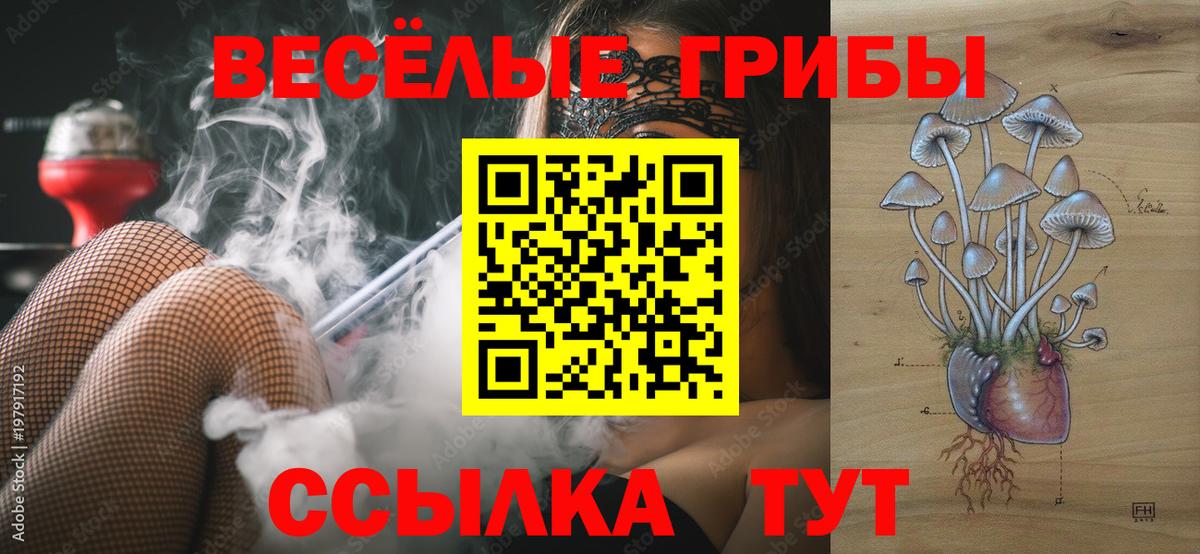 Галлюциногенные грибы Cubensis Ялта