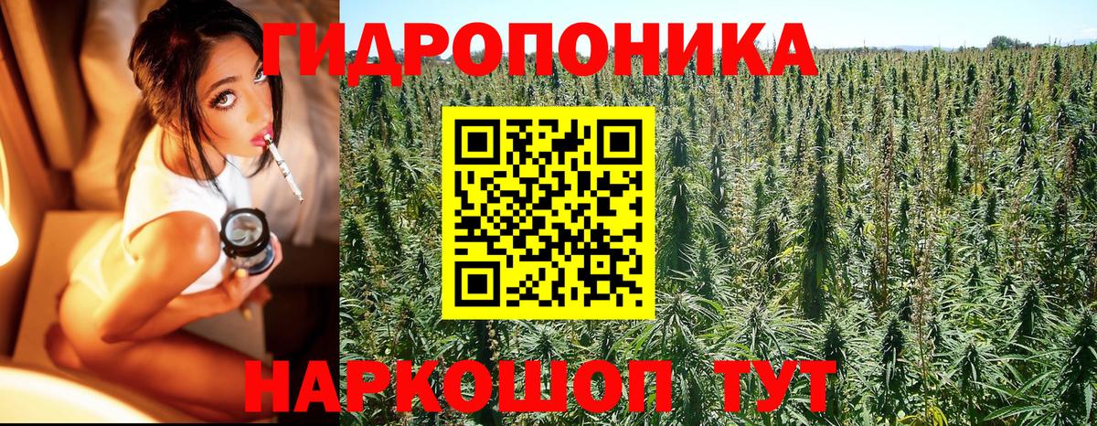 Каннабис план Ялта